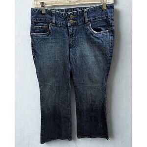 Express Jeans Womens 10 S Flared Seffaro Curvy Blue Denim Festival Hippie Boho